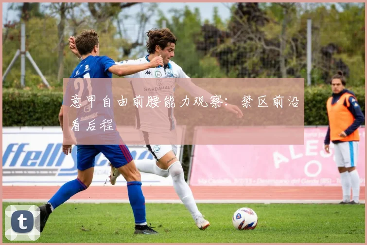 意甲自由前腰能力观察:禁区前沿看后程